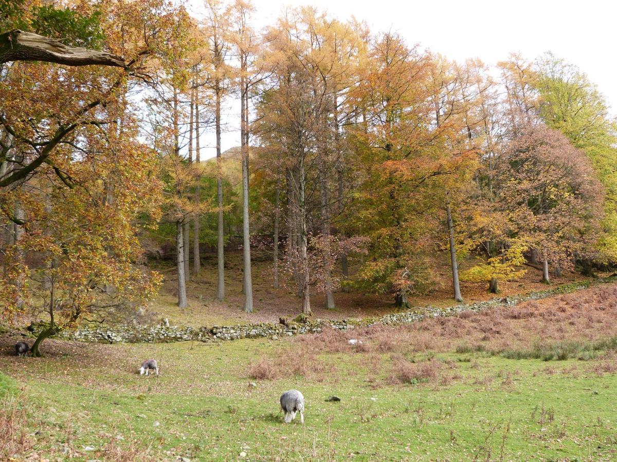Hazel - Woodland Cottages باونيس أون وينديرمير المظهر الخارجي الصورة