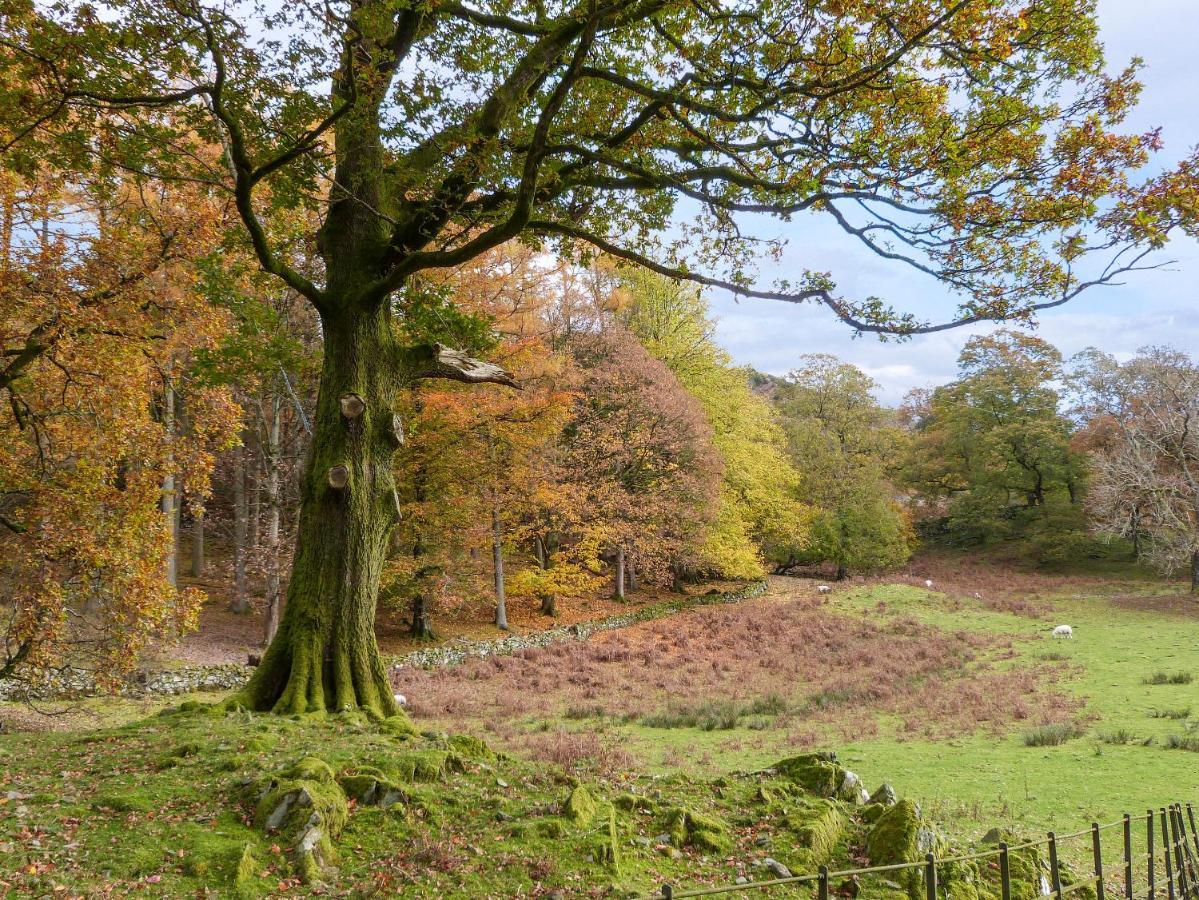 Hazel - Woodland Cottages باونيس أون وينديرمير المظهر الخارجي الصورة