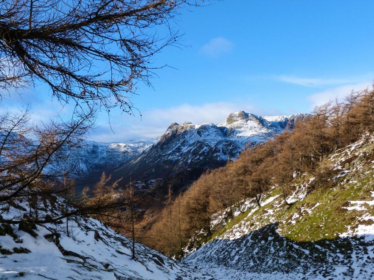Hazel - Woodland Cottages باونيس أون وينديرمير المظهر الخارجي الصورة